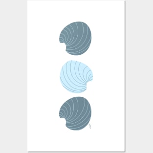 Simple Clams Posters and Art